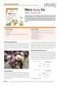 30098MACA FORTE BIO 30 TABLETEK - PHYSALIS-2