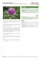 30100OSTROPEST PLAMISTY FORTE 45 TABLETEK - PHYSALIS-3