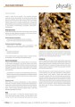 30109CYNK FORTE 30 TABLETEK - PHYSALIS-3
