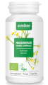 30663ZŁOCIEŃ MARUNA BIO (360 mg) 90 KAPSUŁEK - PURASANA-1
