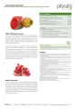 31478TABLETKI NA PŁASKI BRZUCH BIO 45 szt. - PHYSALIS-3