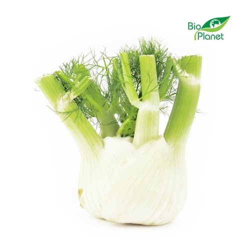 31503KOPER WŁOSKI ŚWIEŻY (FENKUŁ) BIO (około 0,50 kg)-1