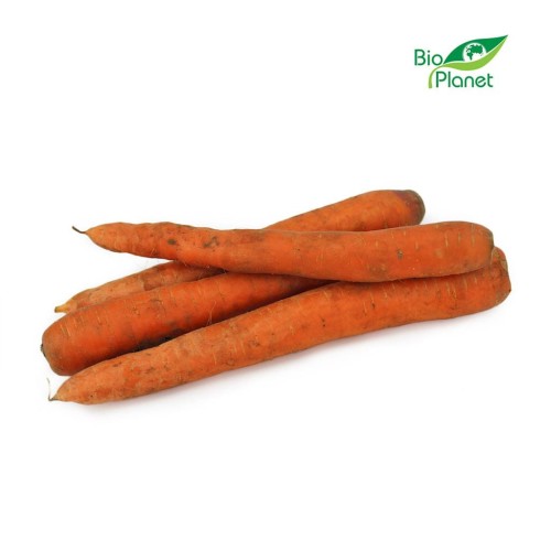 31610OPAKOWANIE ZBIORCZE (kg) - MARCHEW ŚWIEŻA NIEMYTA BIO (POLSKA) (około 5 kg)-1