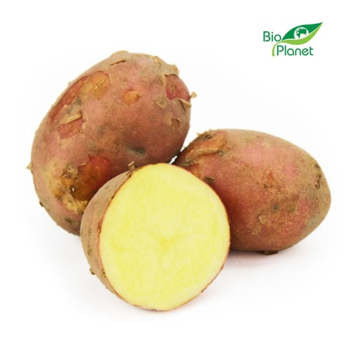 31611OPAKOWANIE ZBIORCZE (kg) - ZIEMNIAKI CZERWONE ŚWIEŻE BIO (POLSKA) (około 10 kg)-1