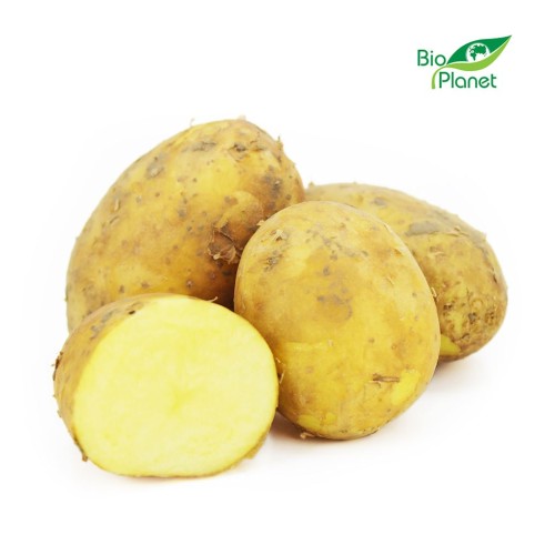 31613OPAKOWANIE ZBIORCZE (kg) - ZIEMNIAKI ŻÓŁTE ŚWIEŻE BIO (POLSKA) (około 10 kg)-1