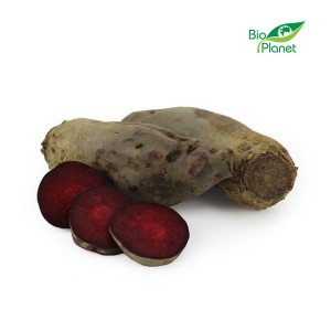 BURAK PODŁUŻNY ŚWIEŻY BIO (POLSKA) (około 5 kg)
