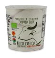 13507MOZZARELLA Z MLEKA BAWOLEGO (1 kulka w kubeczku) BIO 320 g - BIOLOGICA-2