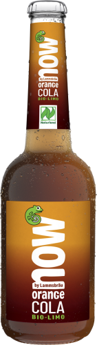 16004ORANGE COLA (Z GUARANĄ) BIO 330 ml - NOW-1