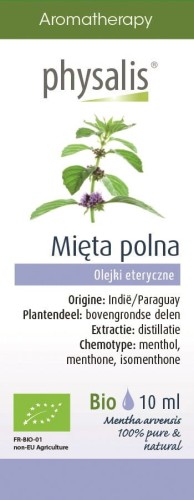 17522OLEJEK ETERYCZNY MIĘTA POLNA BIO 10 ml - PHYSALIS-1