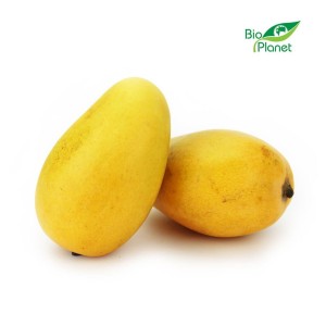 Mango Ataulfo Świeże Bio (Około 0,18 Kg)