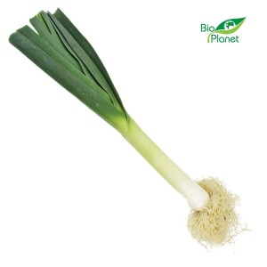 Por Świeży Bio (Około 0,50 Kg)