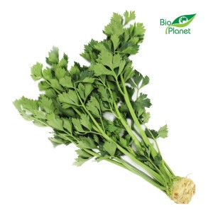 Seler z nacią świeży bio (polska) (około 0,25 kg)