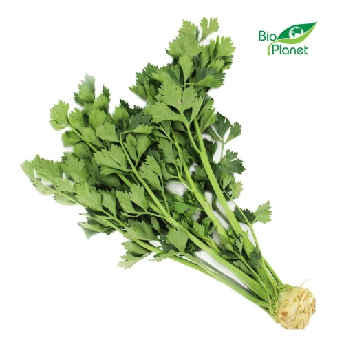 22035SELER Z NACIĄ ŚWIEŻY BIO (POLSKA) (około 0,20 kg)-1