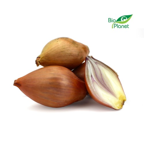 21915CEBULA SZALOTKA ŚWIEŻA BIO (około 0,25 kg)-1