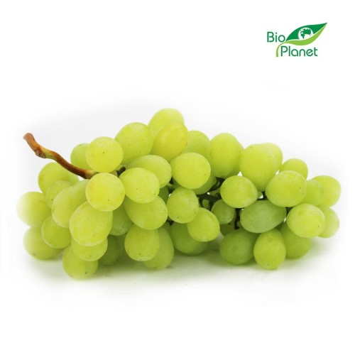 10431OPAKOWANIE ZBIORCZE (kg) - WINOGRONA BIAŁE ŚWIEŻE BIO (około 6 kg)-1