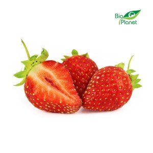 Truskawka świeża bio (polska) (opakowanie ok. 0,50 kg)