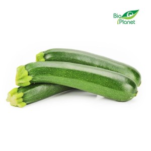 Cukinia świeża bio (polska) (około 5 kg)