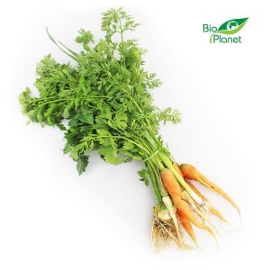 Włoszczyzna pęczek świeża bio (polska) (około 0,60 kg)