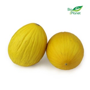 Melon świeży bio (około 0,40 kg)
