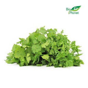 Kolendra świeża bio polska - 50 g