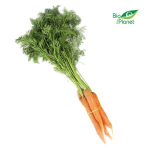 Marchew młoda z natką świeża bio (polska) (około 0,30 kg)