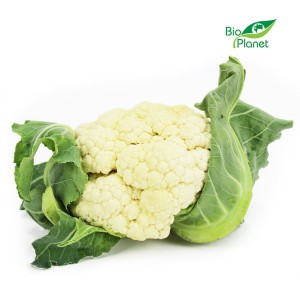 Kalafior świeży bio polska- 500g