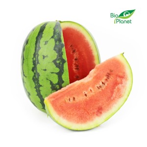 Arbuz mini świeży bio (około 1,50 kg)