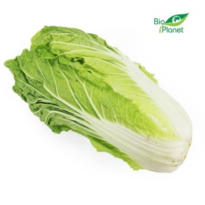 Kapusta pekińska świeża bio polska około 0.50 kg