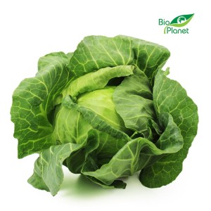 Kapusta biała młoda świeża bio (polska) (około 1,00 kg)
