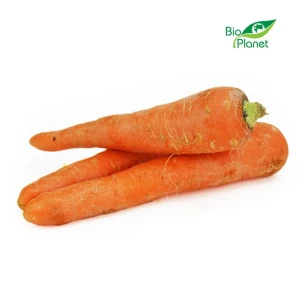 Marchew młoda świeża bio (około 1,00 kg)