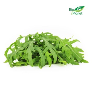 Rukola świeża bio (polska) (około 0,10 kg)