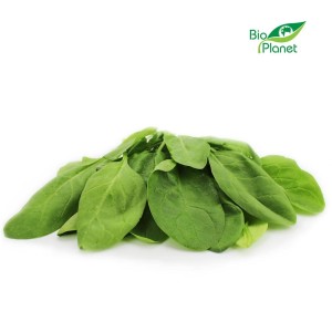 Szpinak baby świeży bio (polska) (około 0,12 kg)