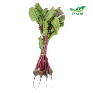 Botwina świeża bio (polska) (pęczek około 0,20 kg)