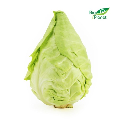 21138OPAKOWANIE ZBIORCZE (kg) - KAPUSTA SZPICZASTA ŚWIEŻA BIO (około 6,5 kg)-1
