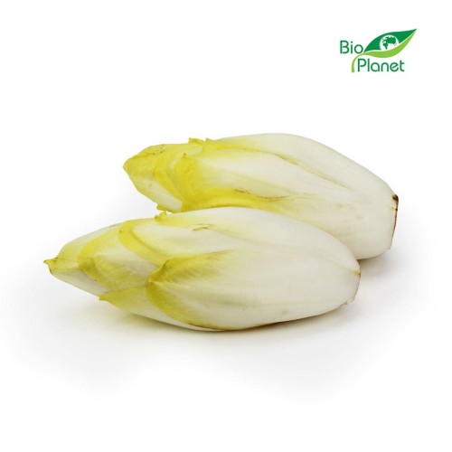20777OPAKOWANIE ZBIORCZE (kg) - CYKORIA ŚWIEŻA BIO (około 5 kg)-1