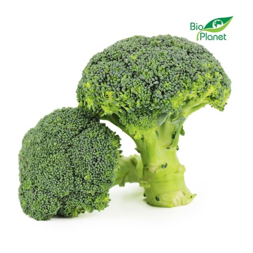 20784OPAKOWANIE ZBIORCZE (kg) - BROKUŁY ŚWIEŻE BIO (około 5 kg)-1