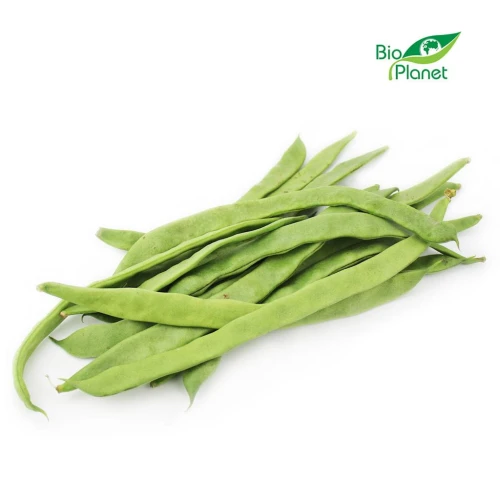 15464OPAKOWANIE ZBIORCZE (kg) - FASOLKA PŁASKA ŚWIEŻA BIO (około 4 kg)-1