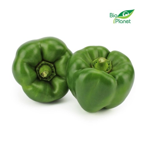 10387OPAKOWANIE ZBIORCZE (kg) - PAPRYKA ZIELONA ŚWIEŻA BIO (około 5 kg)-1