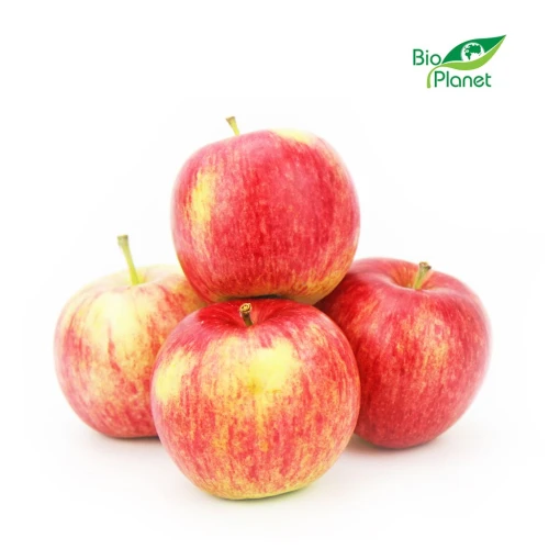 17404OPAKOWANIE ZBIORCZE (kg) - JABŁKA ŚWIEŻE BIO (ALWA - POLSKA) (około 13 kg)-1