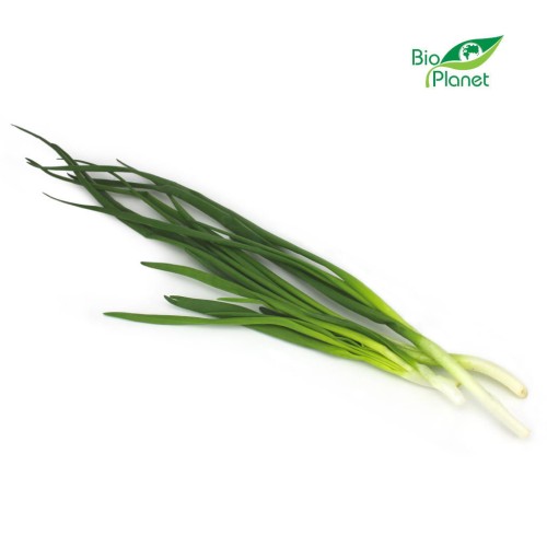 9519CEBULA ZE SZCZYPIORKIEM ŚWIEŻA BIO (POLSKA) (około 60 g)-1