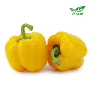 Papryka żółta świeża bio około 0,50 kg