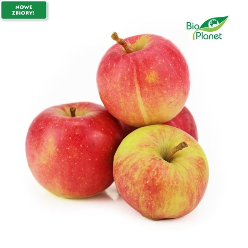 21501JABŁKA NA SOK ŚWIEŻE BIO (POLSKA) (około 1,00 kg)-1