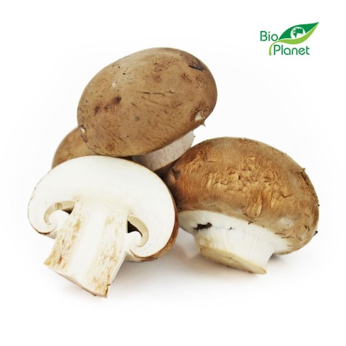 12070OPAKOWANIE ZBIORCZE (kg) - PIECZARKI BRĄZOWE ŚWIEŻE BIO (POLSKA) (około 3 kg)-1