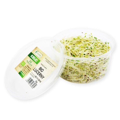 14152KIEŁKI LUCERNY ŚWIEŻE BIO (około 50 g)-1