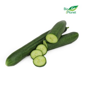 Ogórek długi świeży bio około 0,30 kg