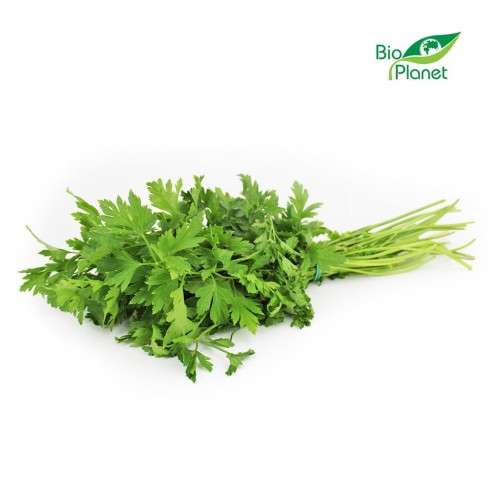 9518NATKA PIETRUSZKI ŚWIEŻA BIO (POLSKA) (około 35 g)-1