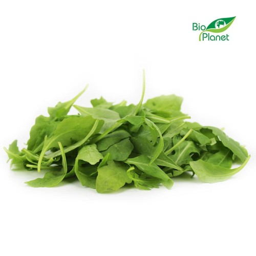 9697RUKOLA NIEMYTA ŚWIEŻA BIO (około 0,10 kg)-1