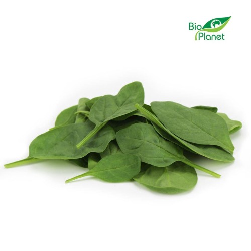 12293SZPINAK BABY NIEMYTY ŚWIEŻY BIO (około 0,10 kg)-1