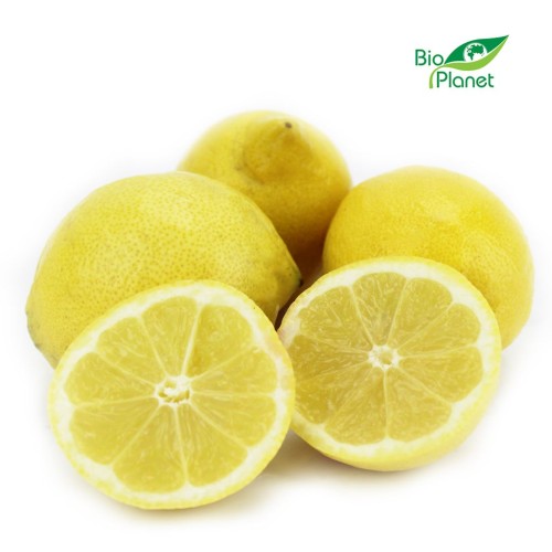11785OPAKOWANIE ZBIORCZE (kg) - CYTRYNY ŚWIEŻE BIO (około 6 kg)-1