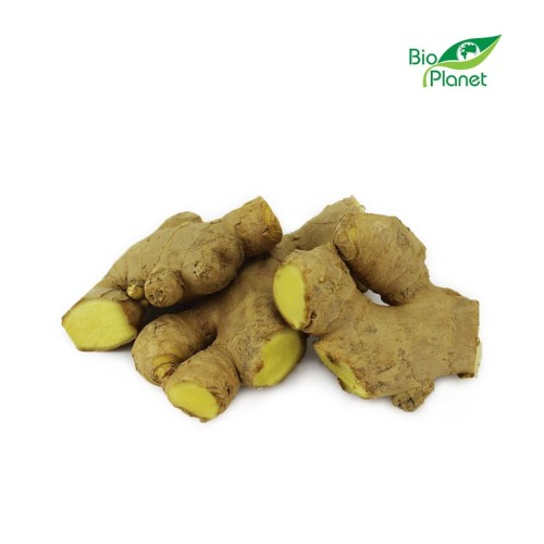 10341OPAKOWANIE ZBIORCZE (kg) - IMBIR ŚWIEŻY BIO (około 2 kg)-1